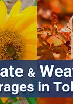 Climate & Weather Averages in Tokyo