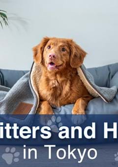 Pet Sitters and Hotels in Tokyo