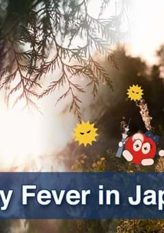 Hay Fever (Kafunsho) in Japan