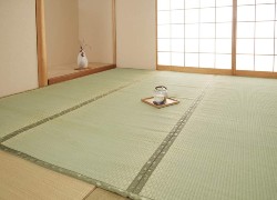 milla nautica análisis Síguenos Tatami Mats: A Guide to Japan's Most Famous Flooring - PLAZA HOMES