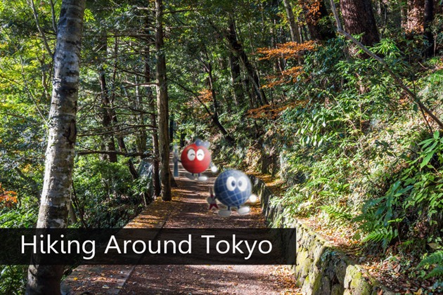 Tokyo: 6 Great Spots for Peak Outdoor - PLAZA HOMES