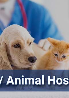 Vets / Animal Hospitals in Tokyo