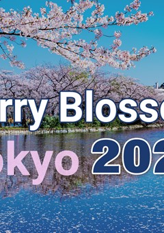Cherry Blossoms in Tokyo 2022 - A Brief Guide to Hanami Culture & List of Popular Spots