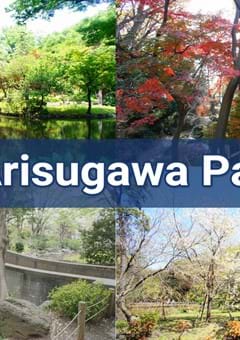 Arisugawa Park (Arisugawa-no-miya Memorial Park) in Hiroo