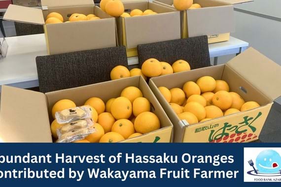Abundant Harvest of Hassaku Oranges Contributed by Wakayama Fruit Farmer