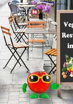 Best Vegetarian Restaurants in Tokyo from Casual to Classy
