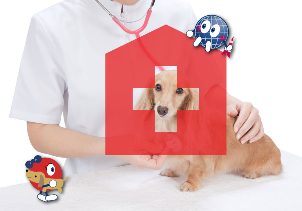 Vets / Animal Hospitals in Tokyo 