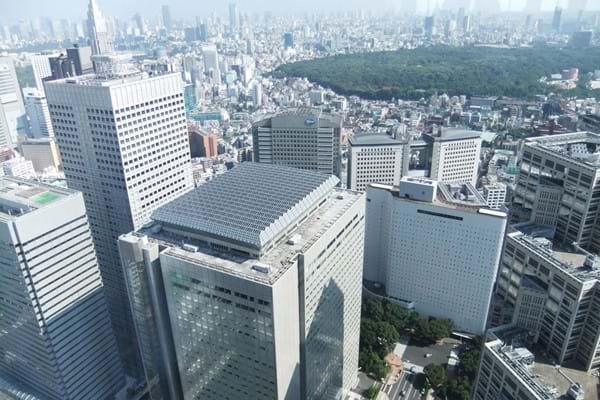 東京都庁展望台からの眺望　View from Tokyo Metropolitan Government Building.jpg