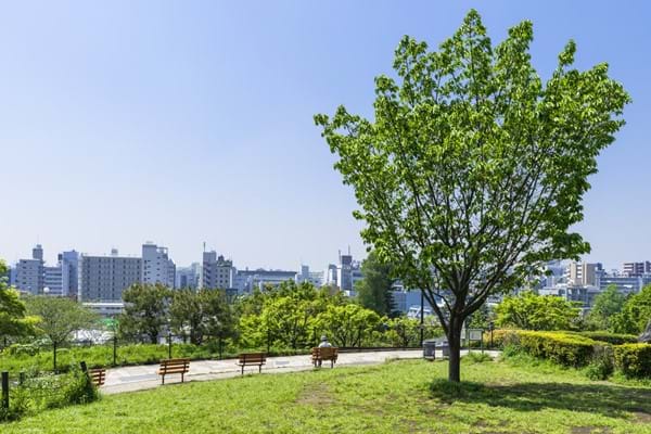 西郷山公園  Saigoyama Park.jpg