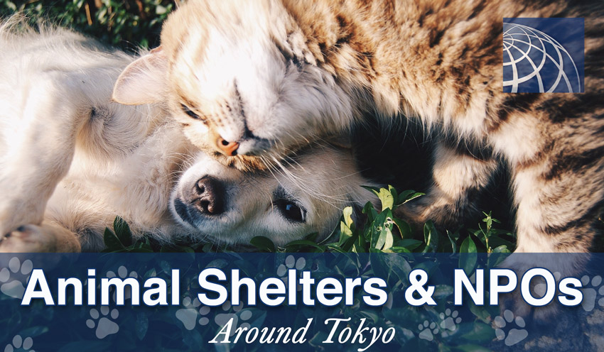 Animal Shelters and Nonprofit Organizations around Tokyo - PLAZA HOMES