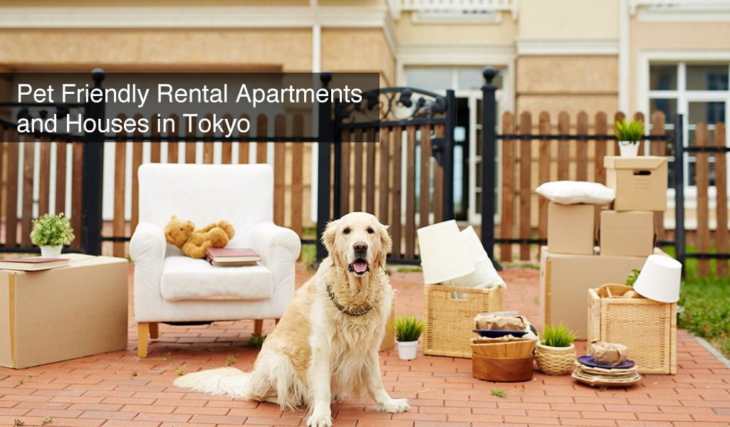 Pet Friendly Rental Apartments and 