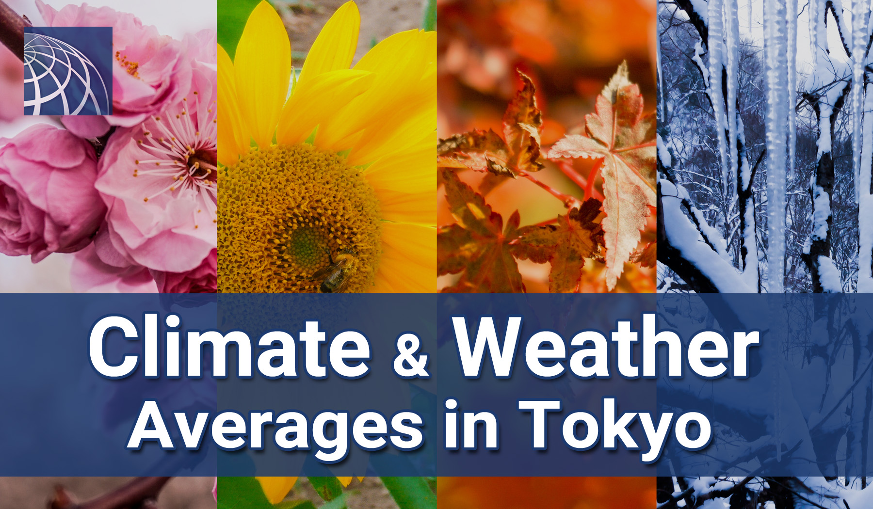 Tokyo Weather Averages