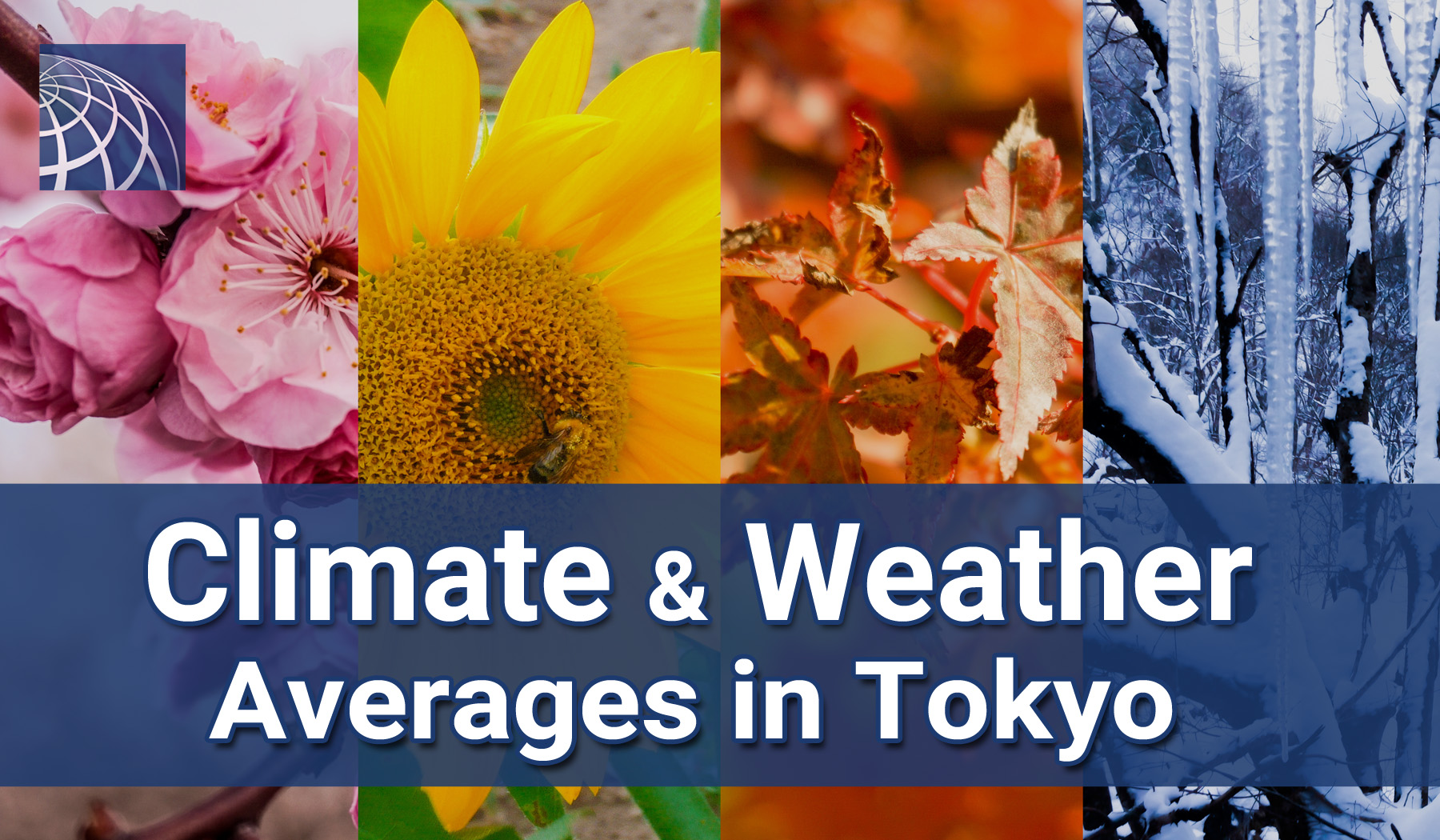 Climate & Weather Averages in Tokyo - PLAZA HOMES