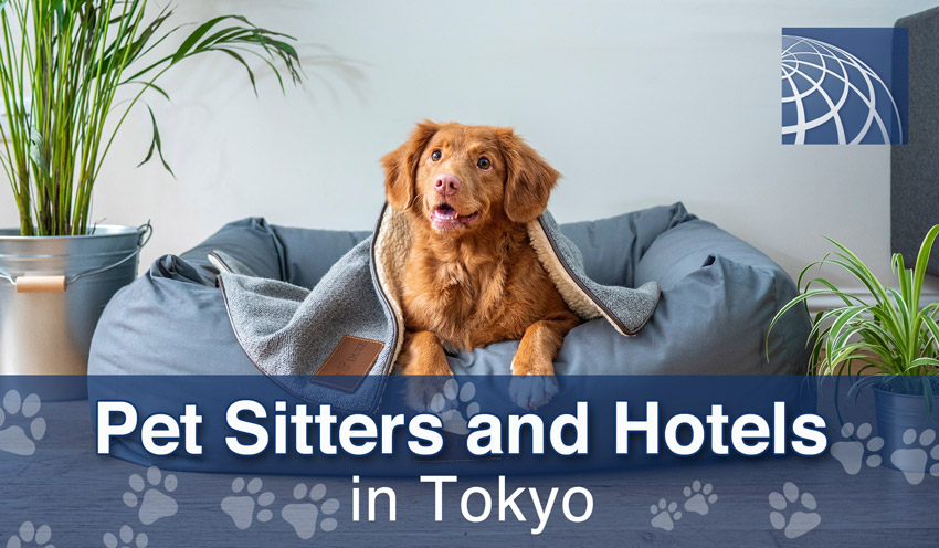 Pet Sitters and Boarding in Tokyo - PLAZA HOMES