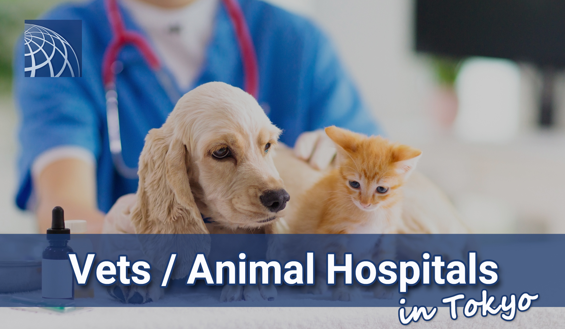 Vets / Animal Hospitals in Tokyo - PLAZA HOMES
