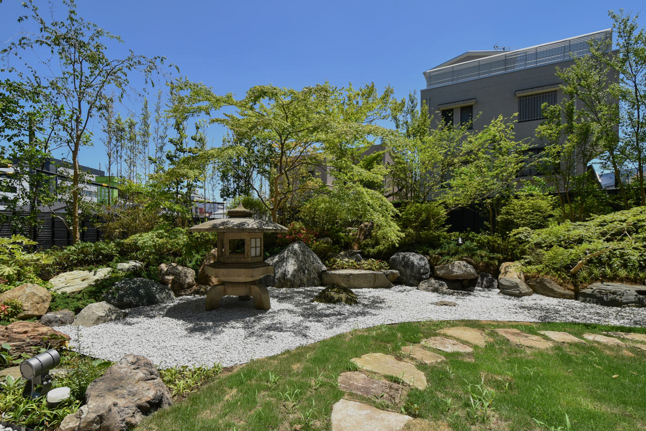 top-image-2